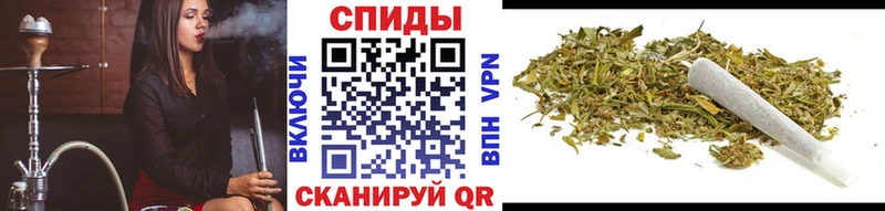 как найти наркотики  Аша  БУТИРАТ 1.4BDO 
