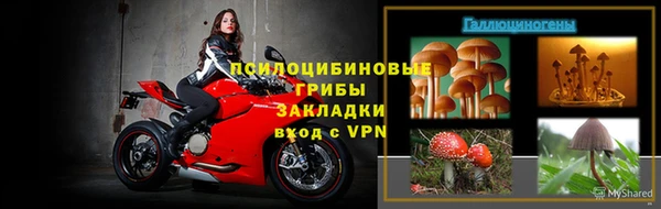 дмт Алексин