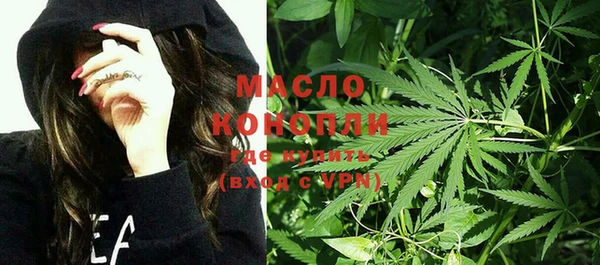 дмт Алексин