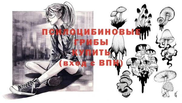 дмт Алексин