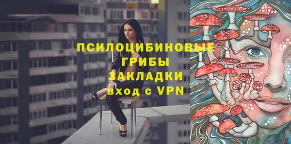 гидра Алзамай