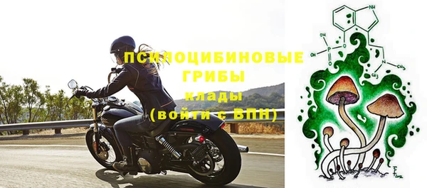 гидра Алзамай