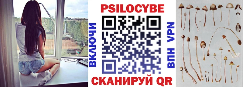 Галлюциногенные грибы Psilocybe  где можно купить   Аша 